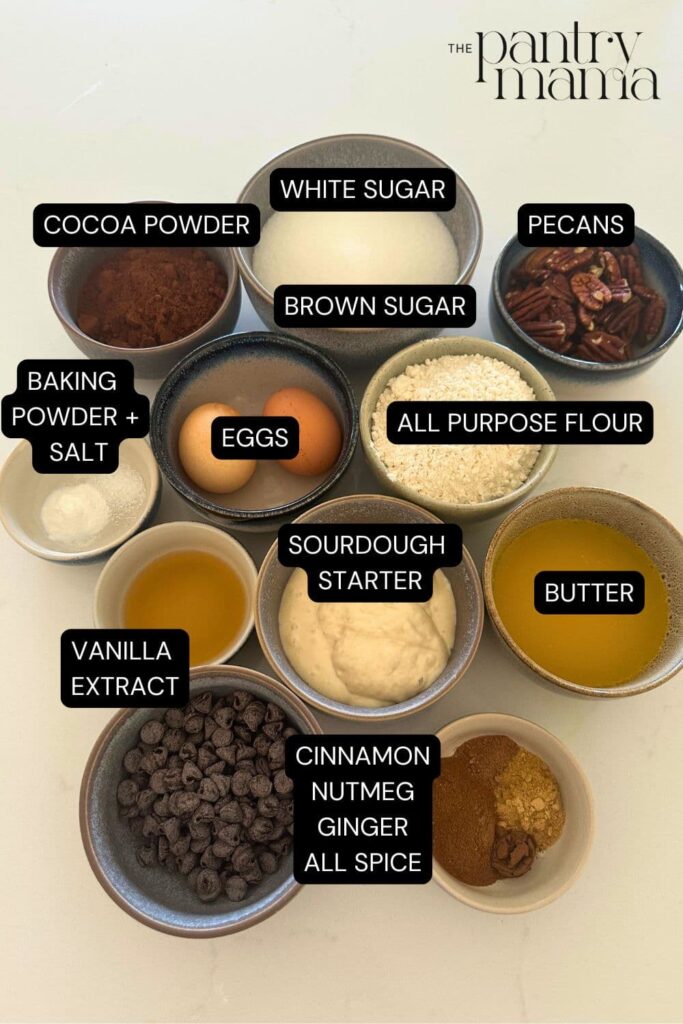 Flat lay of ingredients necessary to make spiced sourdough brownies.