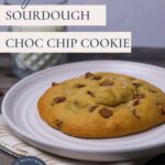 Single serve sourdough chocolate chip cookie - Pinterest Image