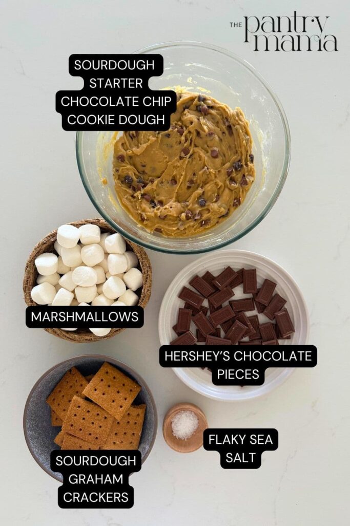 Flat lay of ingredients necessary to make sourdough s'mores cookies.
