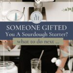Someone gifted you a sourdough starter - what to do next - Pinterest Image