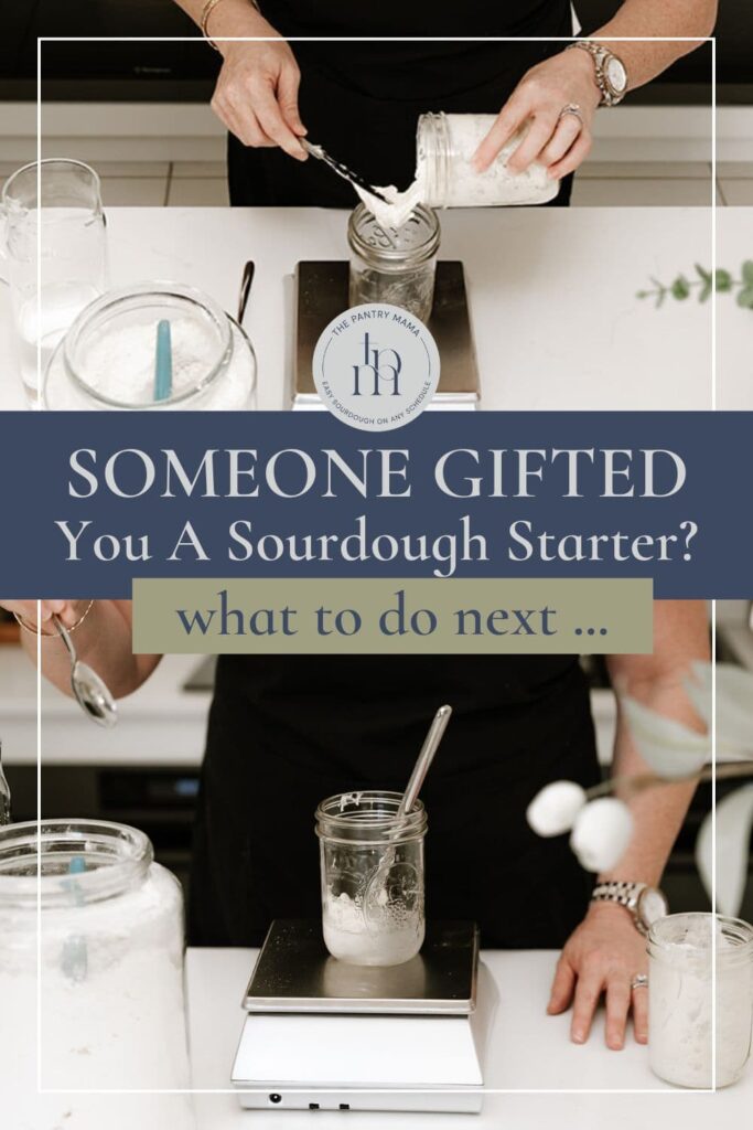 Someone gifted you a sourdough starter - what to do next - Pinterest Image