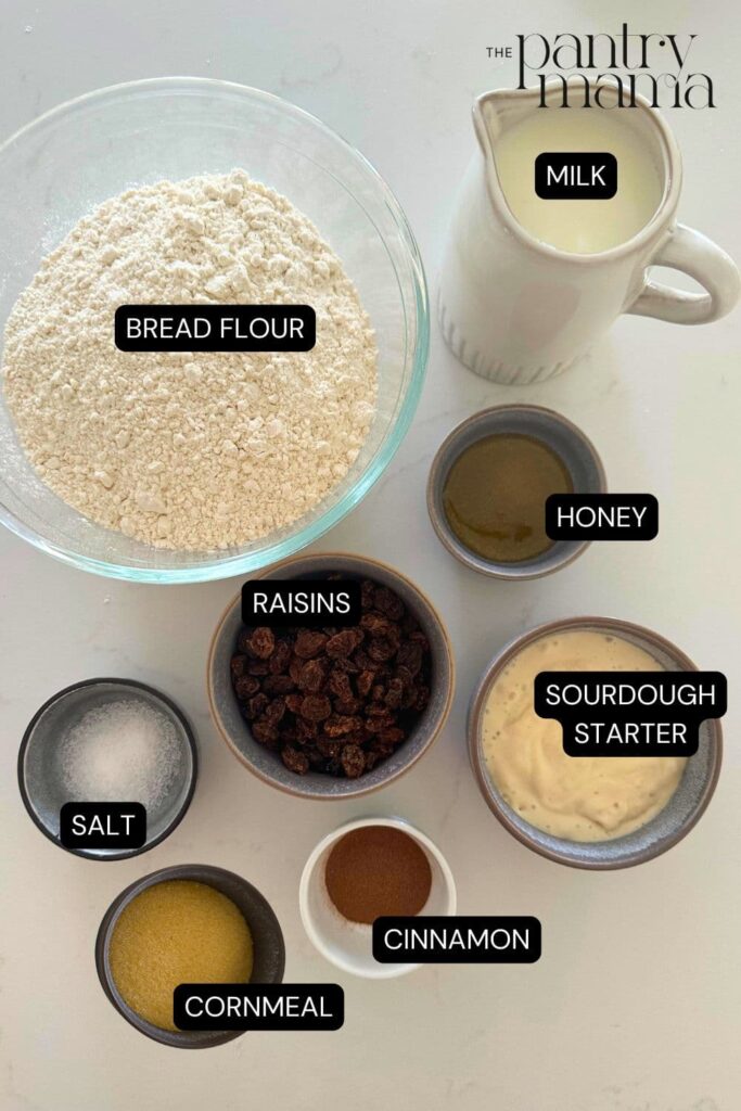 Sourdough discard cinnamon raisin English muffins ingredients on counter.