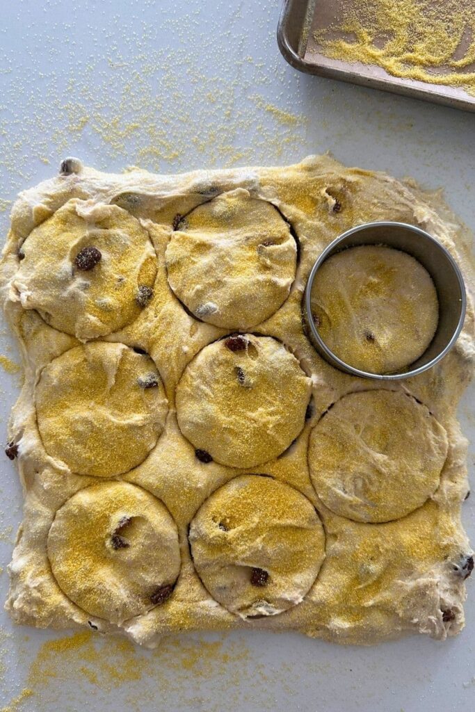 Sourdough discard cinnamon raisin English muffin dough spread on counter and being cut into rounds.