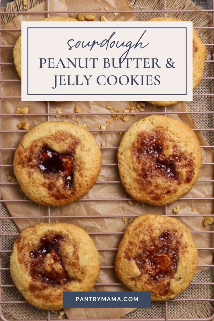 Sourdough peanut butter and jelly cookies Pinterest Pin.