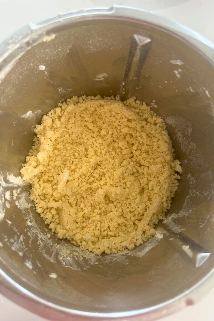 A batch of sourdough Ritz cracker dough in a food processor (Thermomix) jug. 