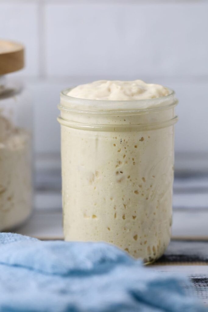 16oz jar of sourdough starter with a bubbly sourdough starter at its peak. You can also see a jar of flour in the background of the photo and a light blue cloth in the foreground.