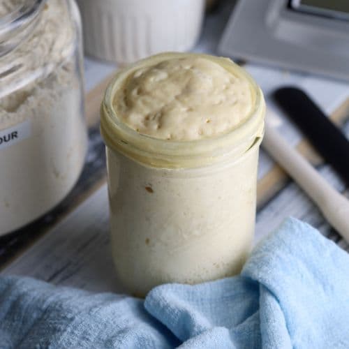 A jar of sourdough starter at it's peak. There is a jar of bread flour and a kitchen scale in the background of the photo.
