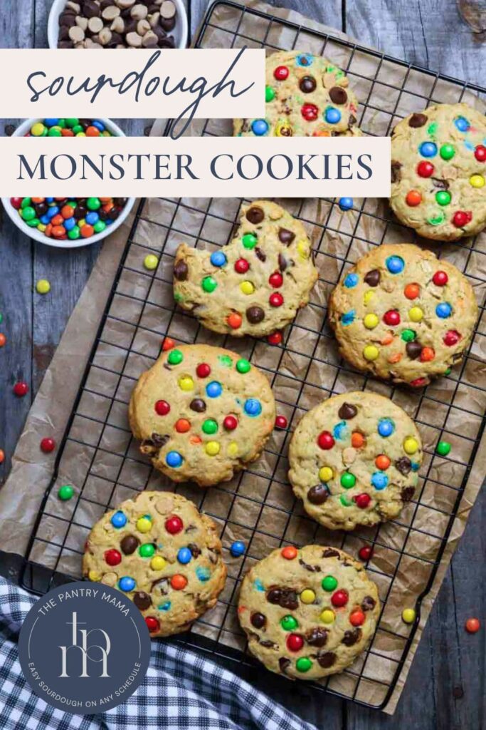 sourdough monster cookies Pinterest Pin image