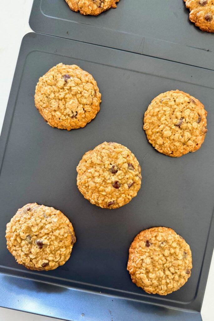 Fresh baked Sourdough Oatmeal Chocolate Chip Cookies on a cookie sheet.