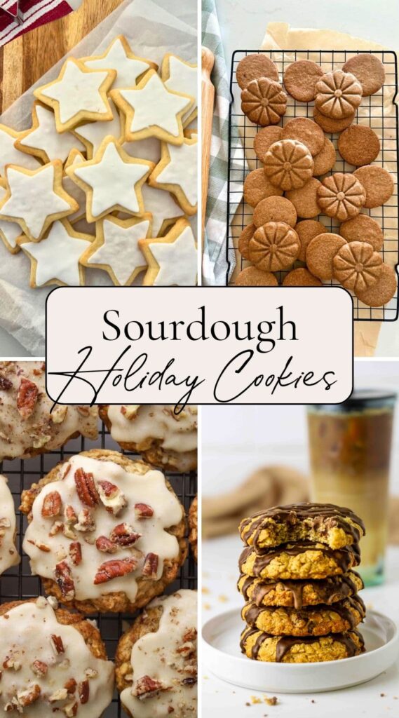 Four photos of sourdough holiday cookies including sourdough sugar cookies, sourdough biscoff cookies, sourdough maple oatmeal cookies, and sourdough oatmeal chocolate chip cookies.