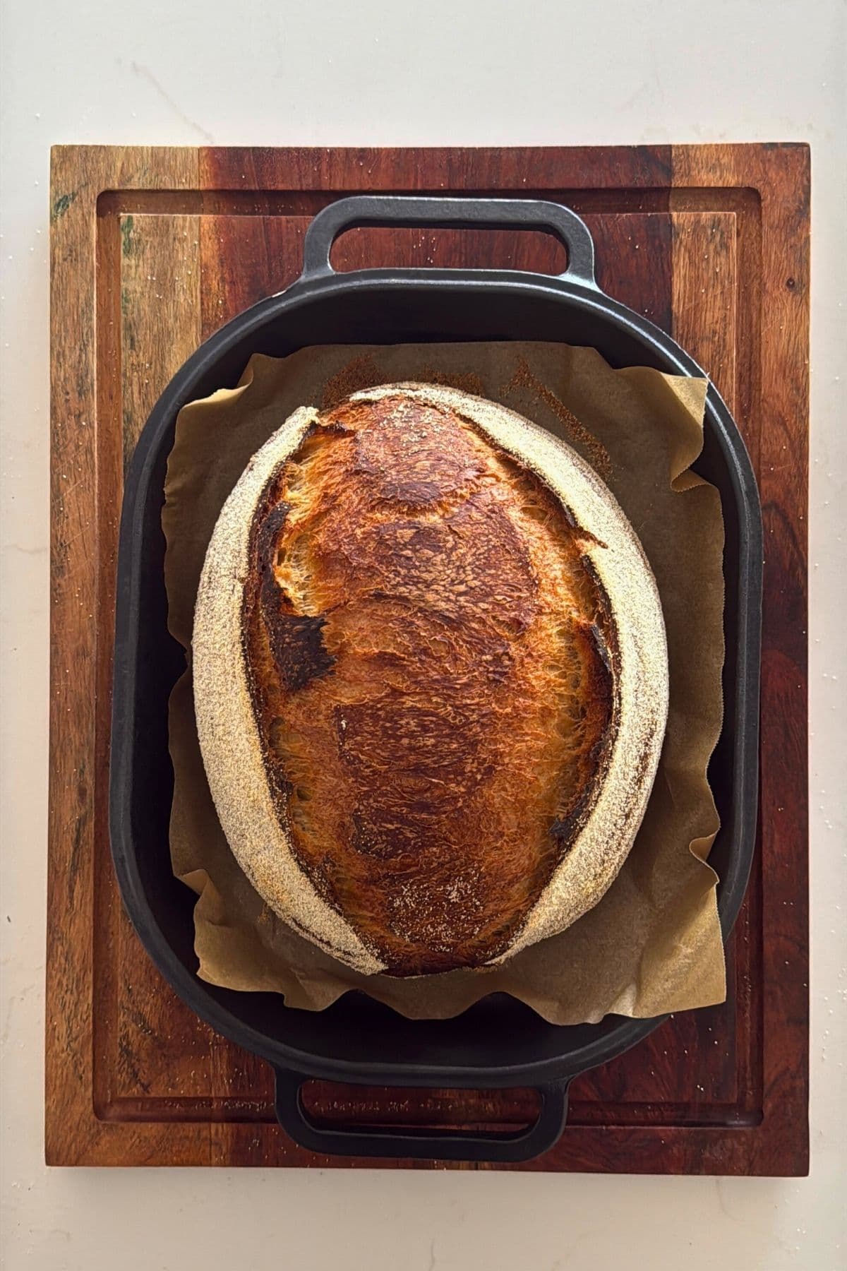 A loaf of cold brew sourdough bread that has been baked and taken out of the oven and placed on the counter to cool.