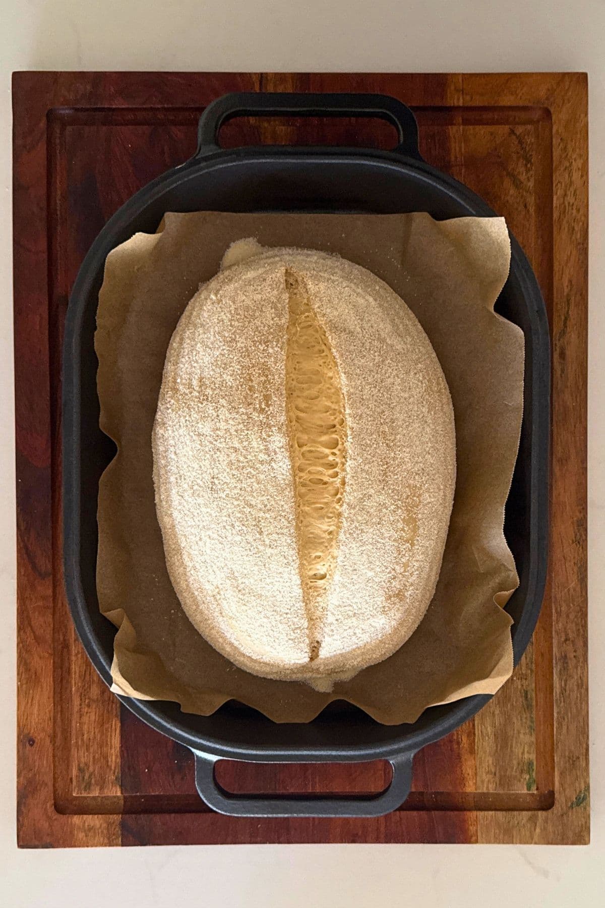 A loaf of sourdough bread made with cold brew coffee that has been scored and placed into a Dutch Oven.