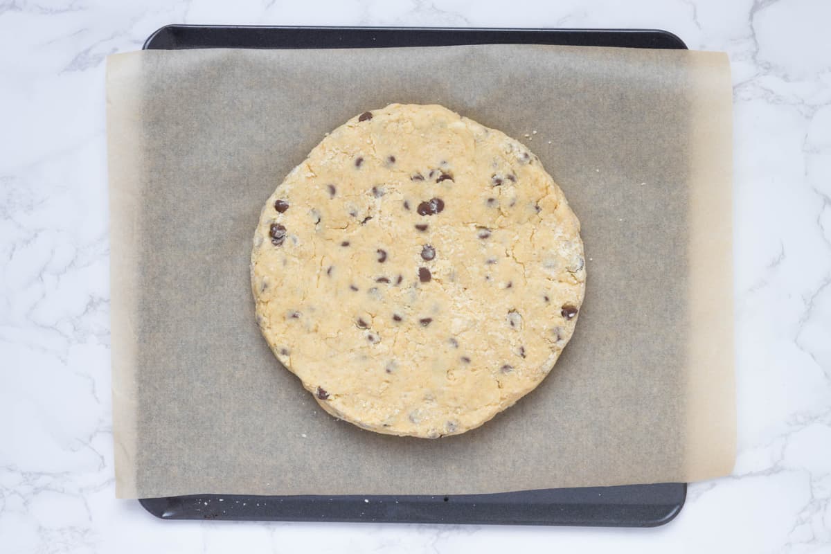 A round disc of chocolate chip sourdough scone dough on a parchment lined baking sheet ready to be cut into pieces.