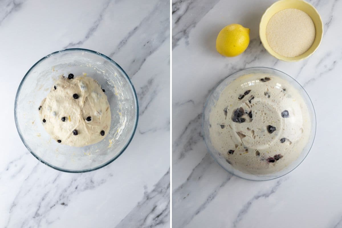 Two photos to show sourdough lemon blueberry bread dough before and after the bulk ferment.