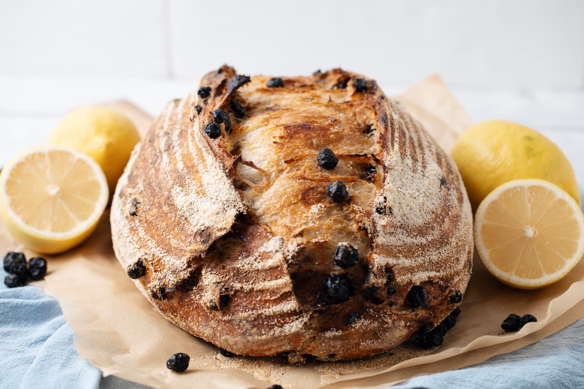 Close up of a whole loaf of sourdough lemon blueberry bread on parchment paper.