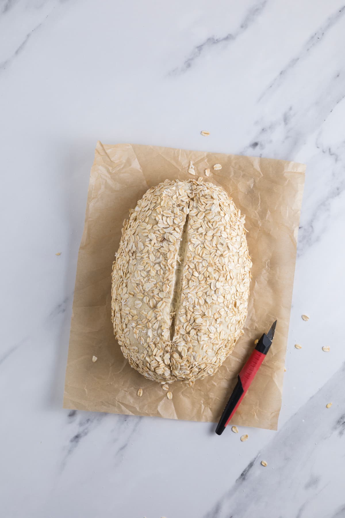 A scored and shaped sourdough honey oat bread dough on a piece of parchment paper on the counter.