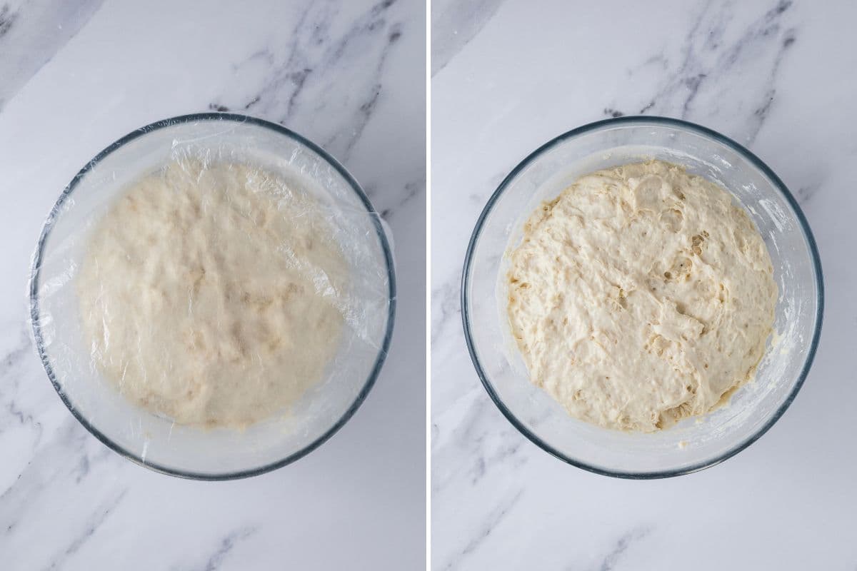 Two photos to show covered dough and dough doubled in size after the first rise to make sourdough discard rolls.