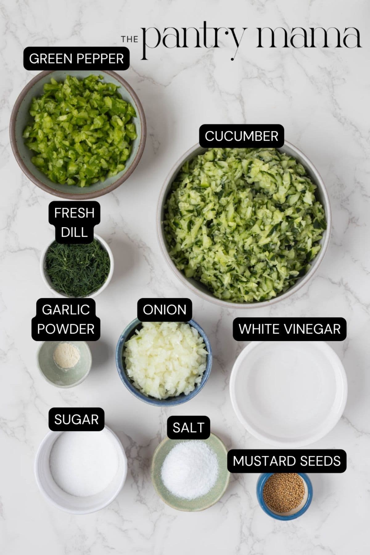 Labeled ingredients to make dill pickle relish.
