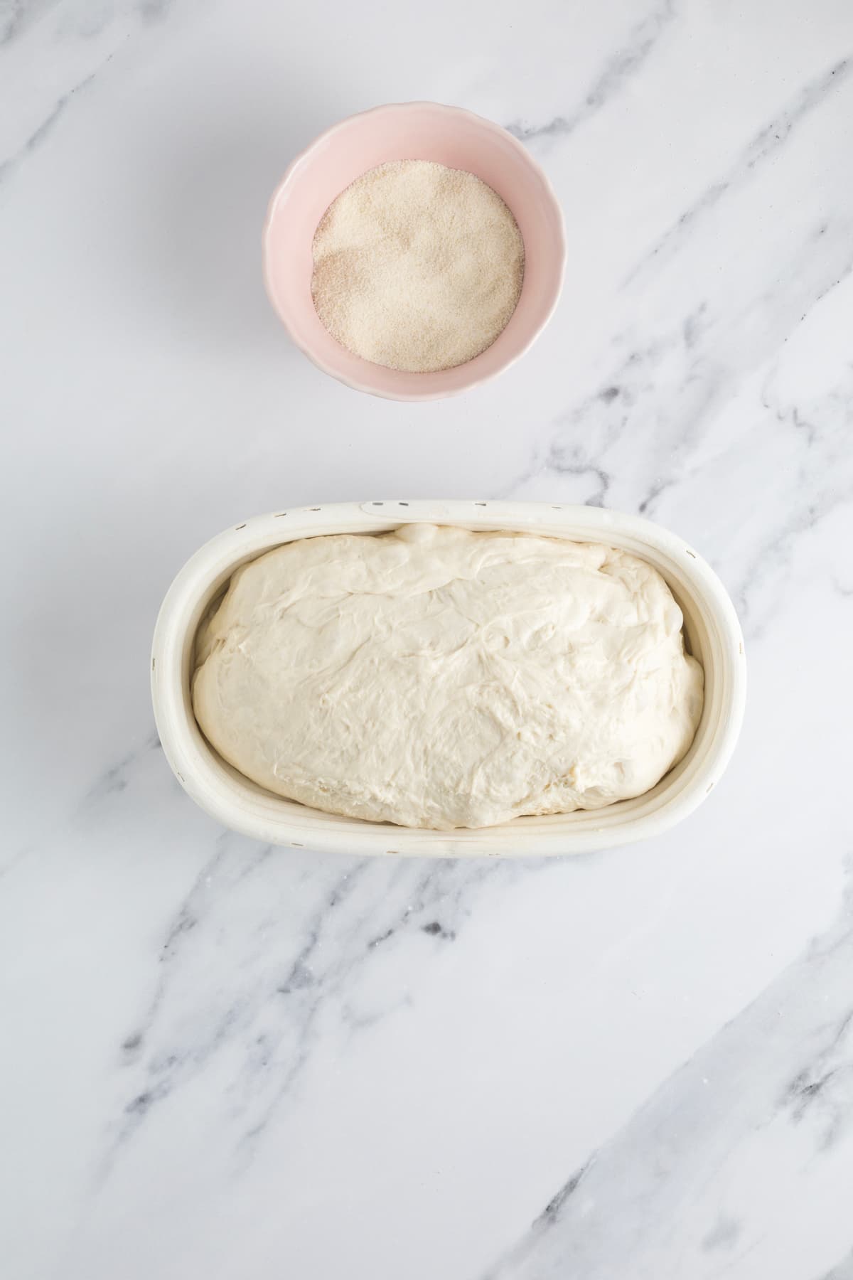 Same day sourdough dough shaped and resting beside an oval banneton and semolina flour.