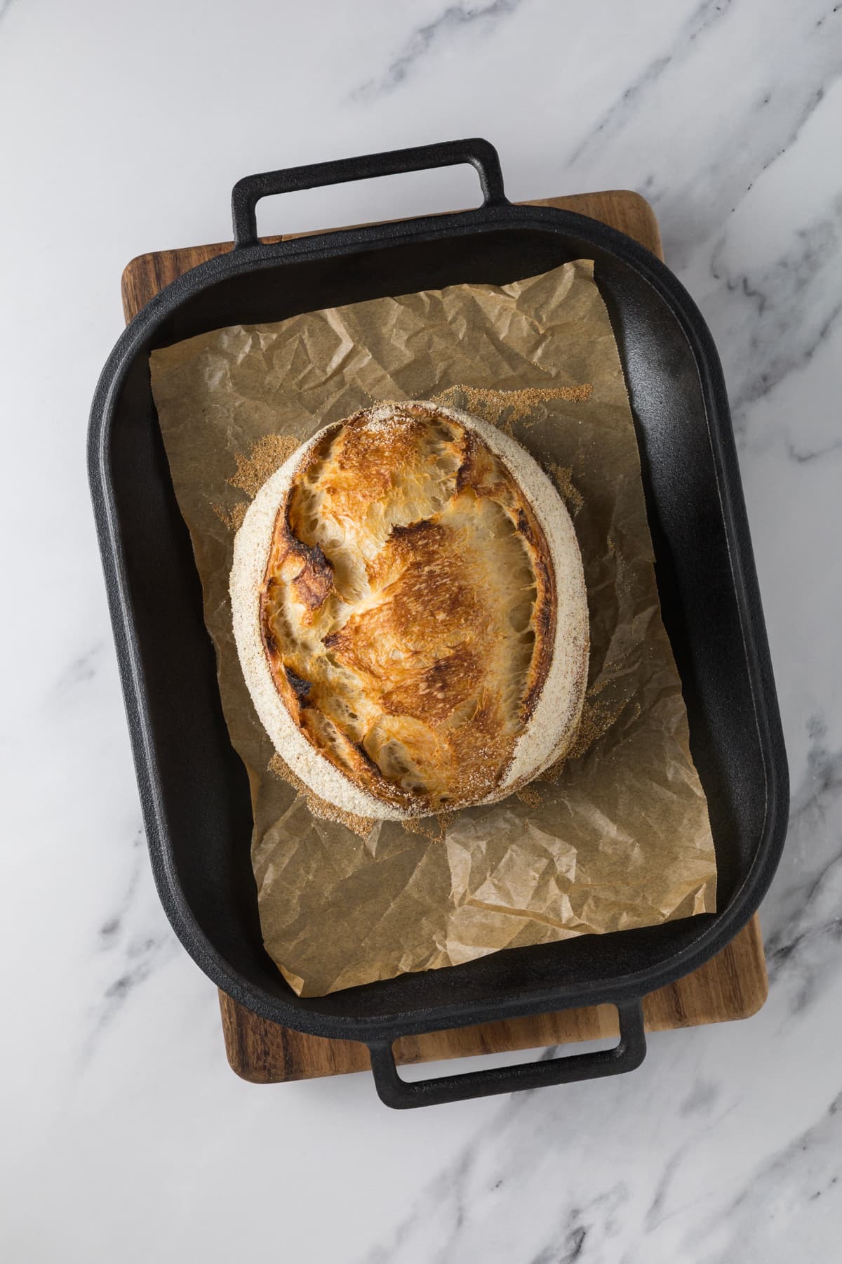 Freshly baked small batch sourdough bread loaf in a cast iron roasting pan lined with parchment paper.