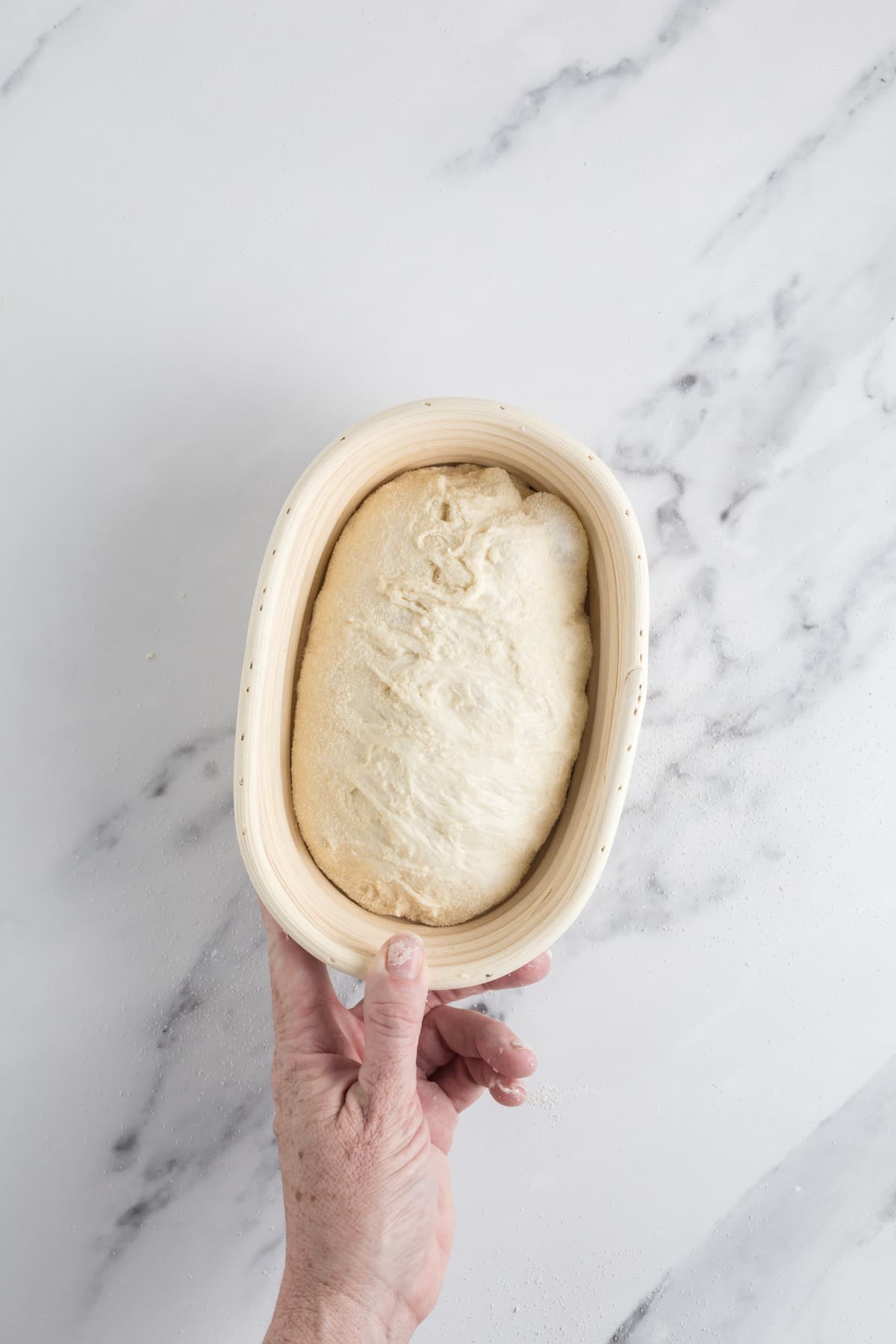 Hand holding an oval banneton filled with proofed small batch sourdough bread dough ready for baking.