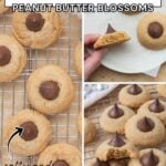 How to make sourdough peanut butter blossom cookies with chocolate kisses and sourdough discard.
