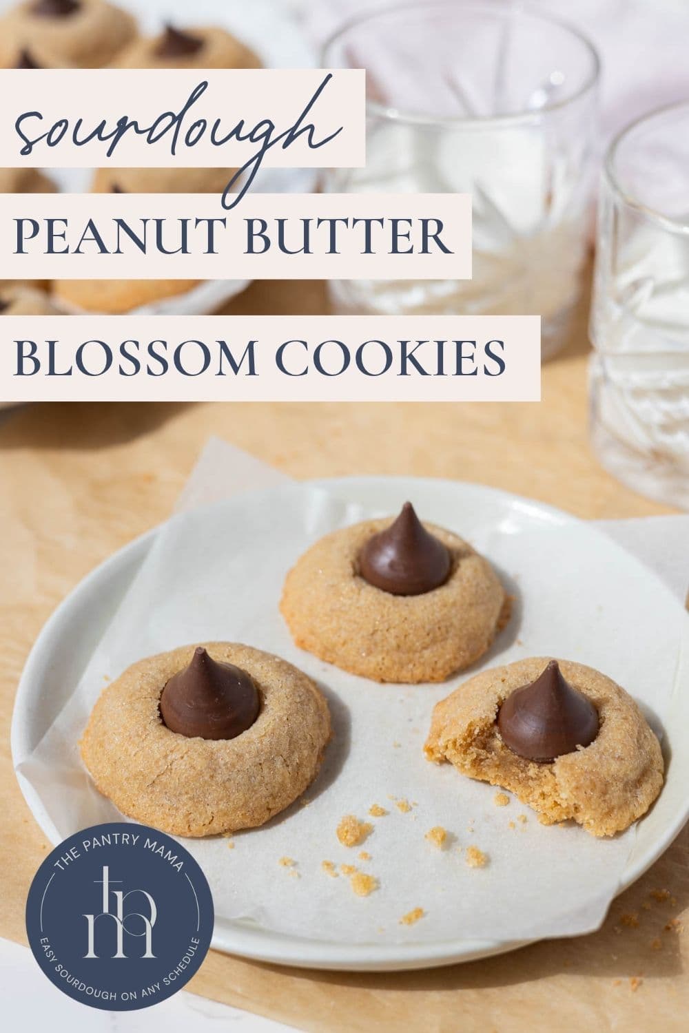 Soft sourdough peanut butter blossom cookies topped with chocolate kisses on a white plate.