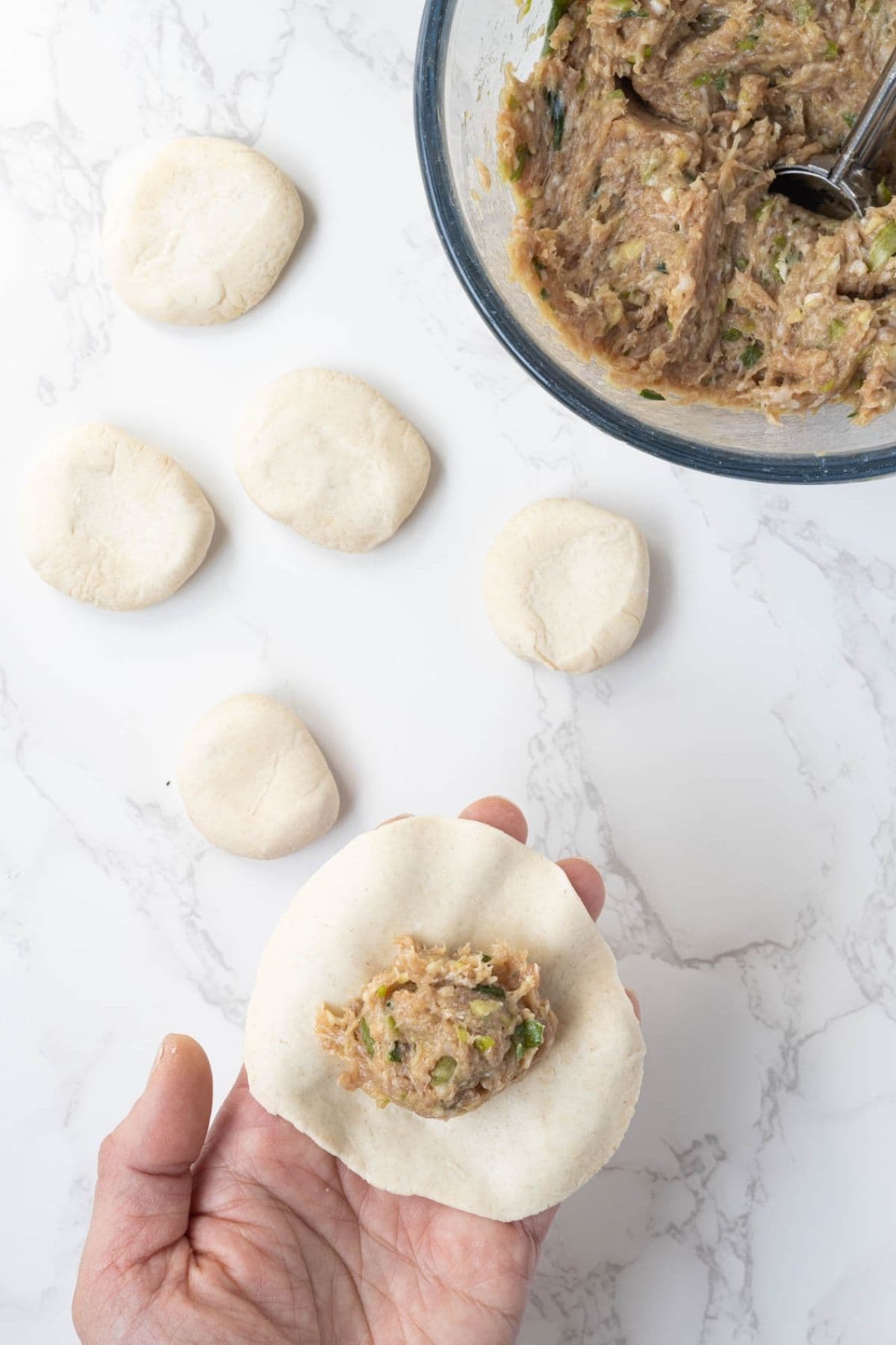 Adding pork filling to homemade sourdough potsticker wrapper.