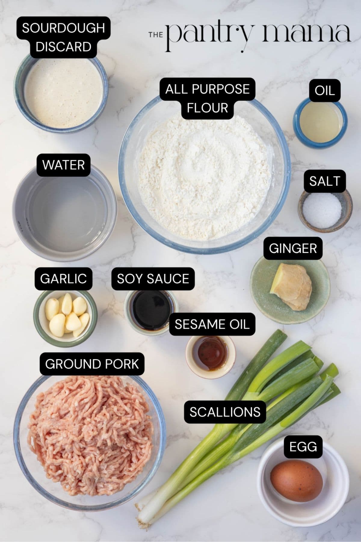 Labeled ingredients for sourdough potsticker dough and filling.