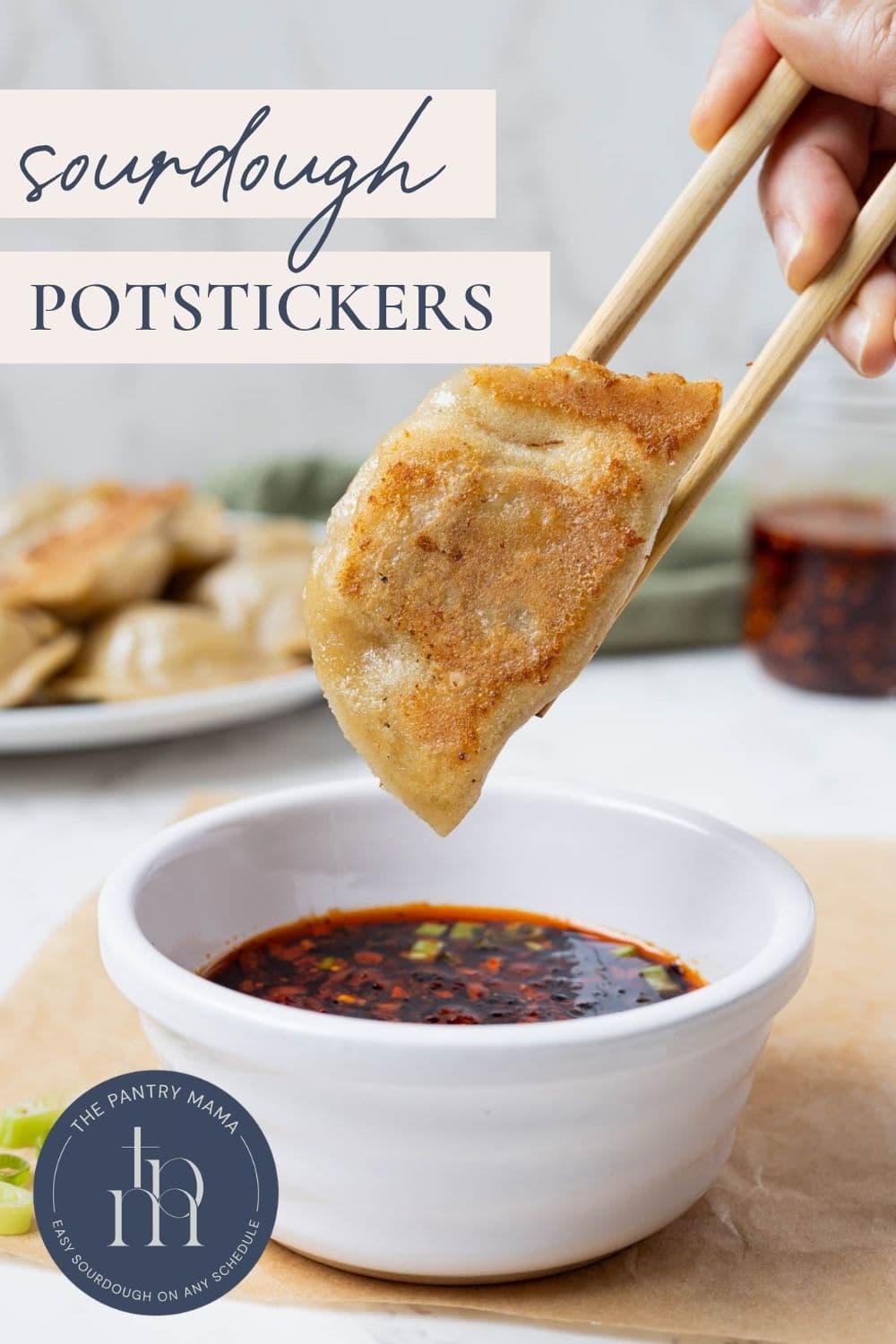 Pinterest graphic for sourdough potstickers with crispy dumpling being dipped in spicy dipping sauce.