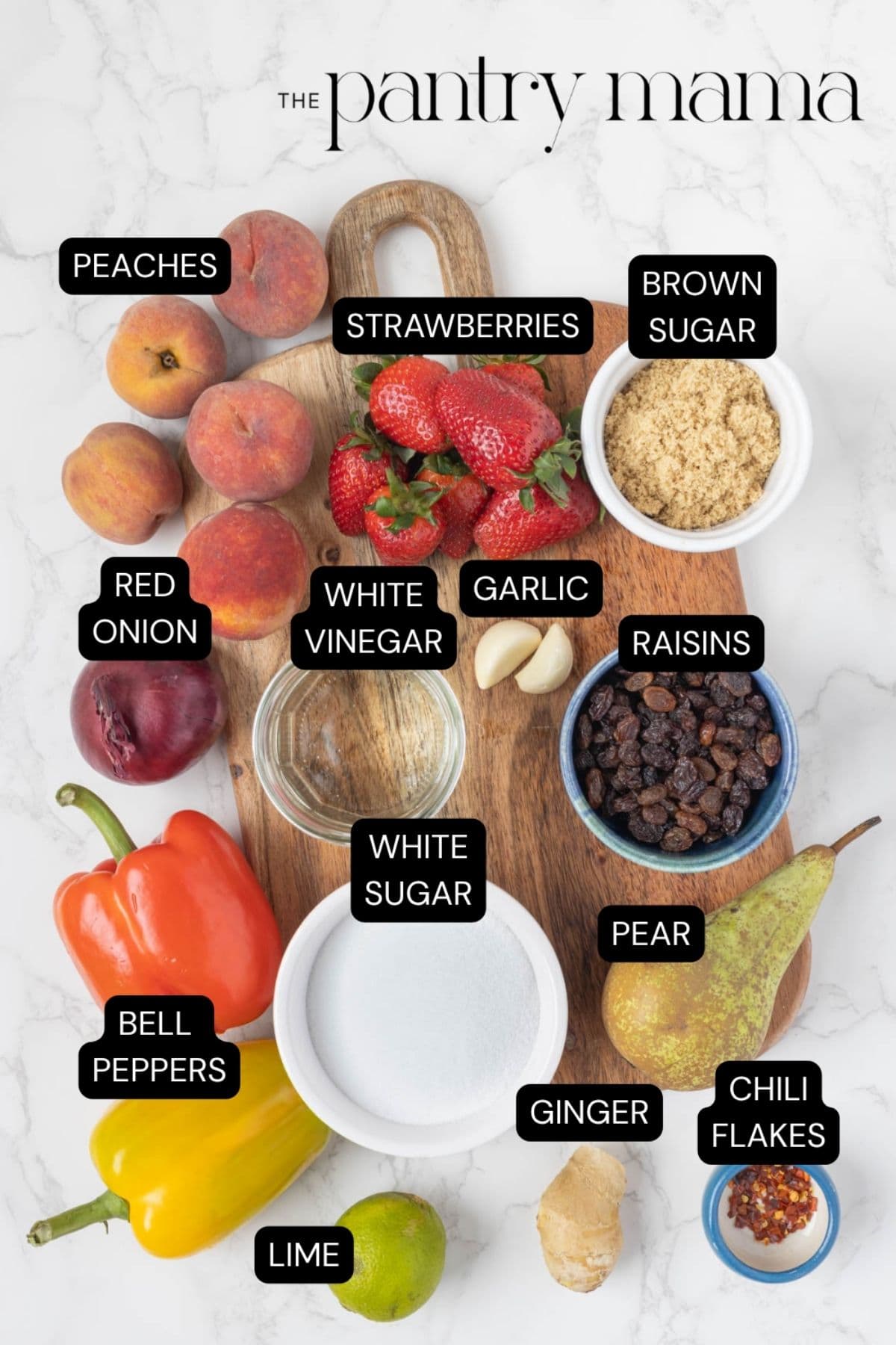 Labeled ingredients to make summer fruits relish.