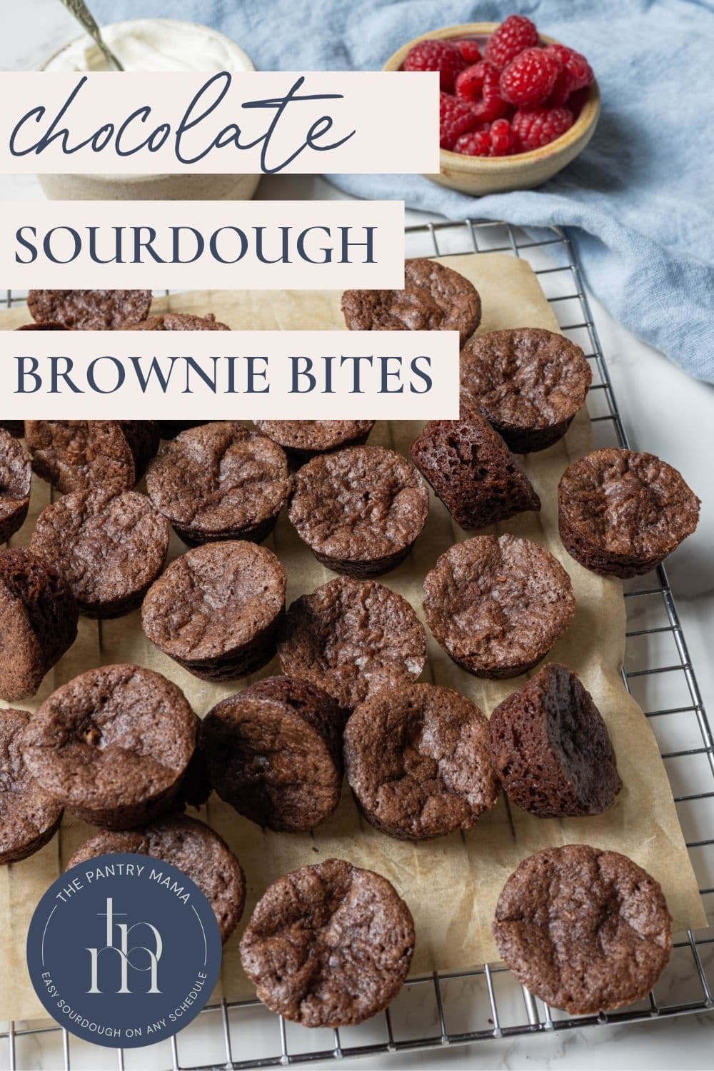 Pinterest pin for sourdough chocolate brownie bites arranged on a cooling rack with text overlay.