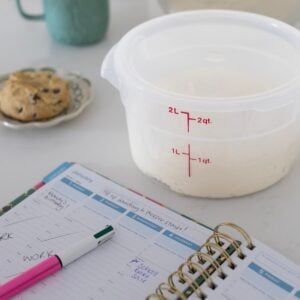 A square image of a planner open to a page showing a few appointments. There is a also a cambro container filled with sourdough dough. In the background of the photo, you can see a green coffee mug, chocolate chip cookie and a bowl of dough.