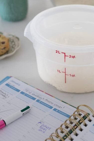 A square image of a planner open to a page showing a few appointments. There is a also a cambro container filled with sourdough dough. In the background of the photo, you can see a green coffee mug, chocolate chip cookie and a bowl of dough.