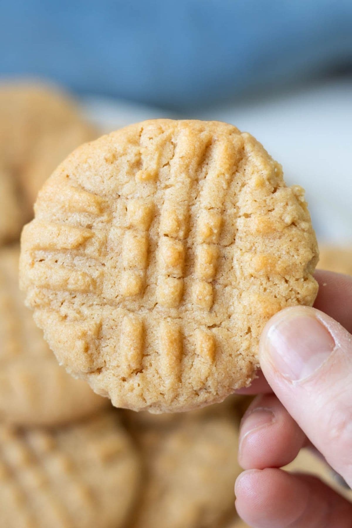 Close-up of a soft sourdough peanut butter cookie showing the classic crisscross fork pattern on top.