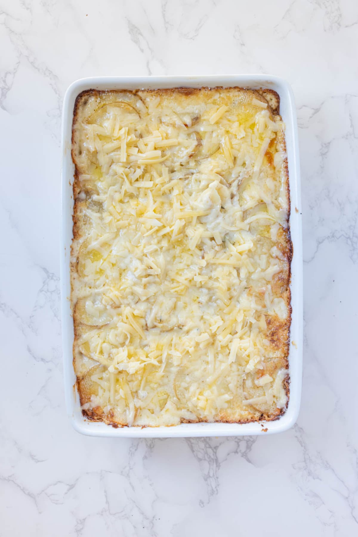 Sourdough au gratin potatoes topped with shredded Gruyere cheese before the final bake.