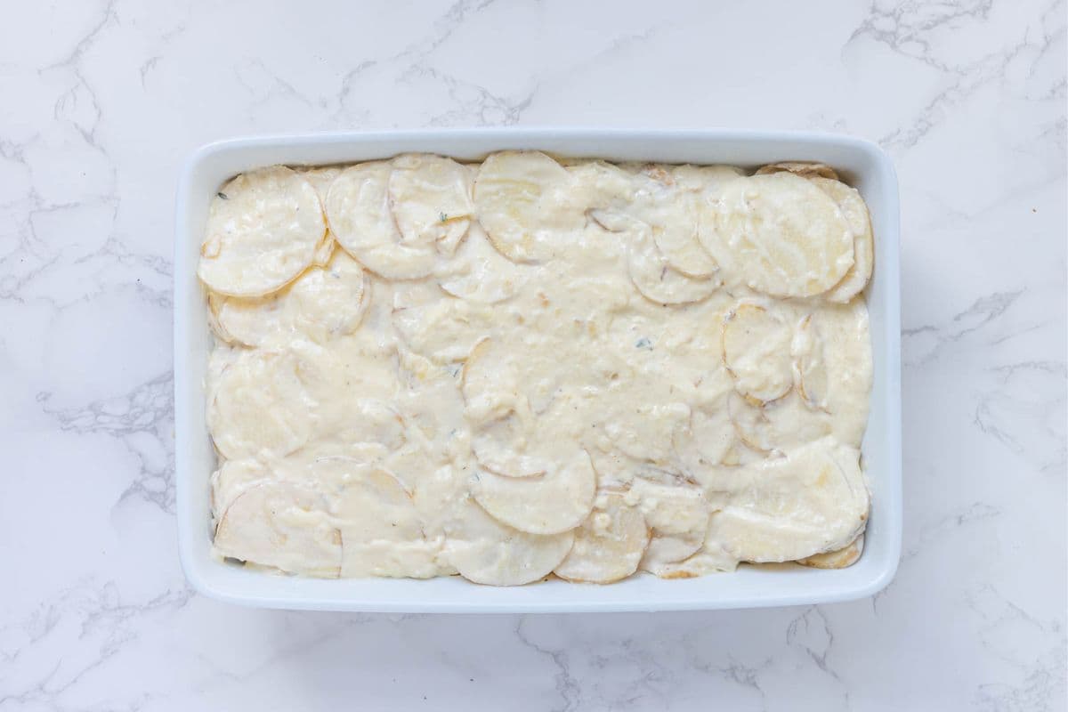 Potatoes coated in sourdough cheese sauce in baking dish just before baking the sourdough au gratin potatoes.
