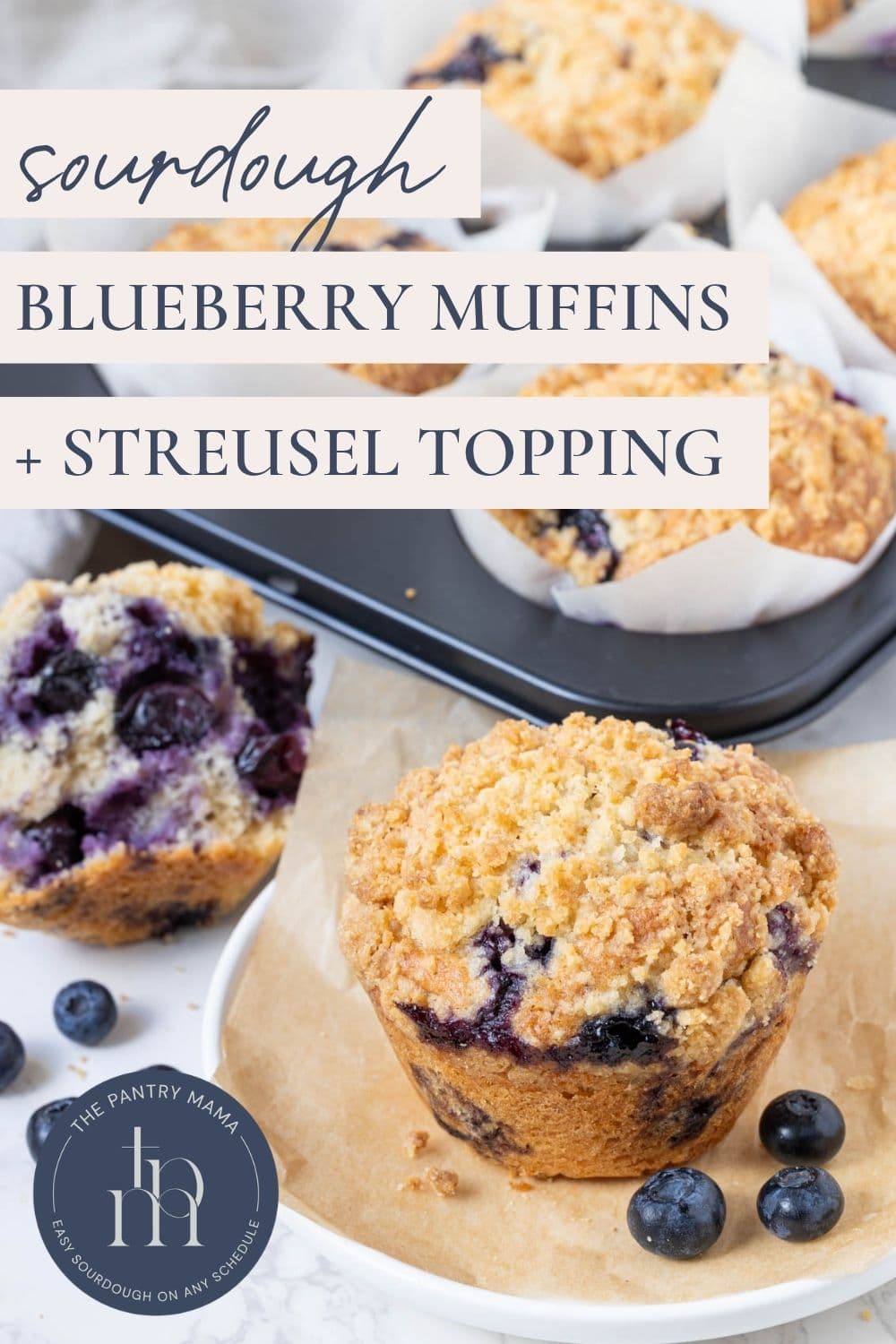 Pinterest graphic for sourdough blueberry muffins with streusel topping featuring a bakery-style muffin and fresh blueberries.