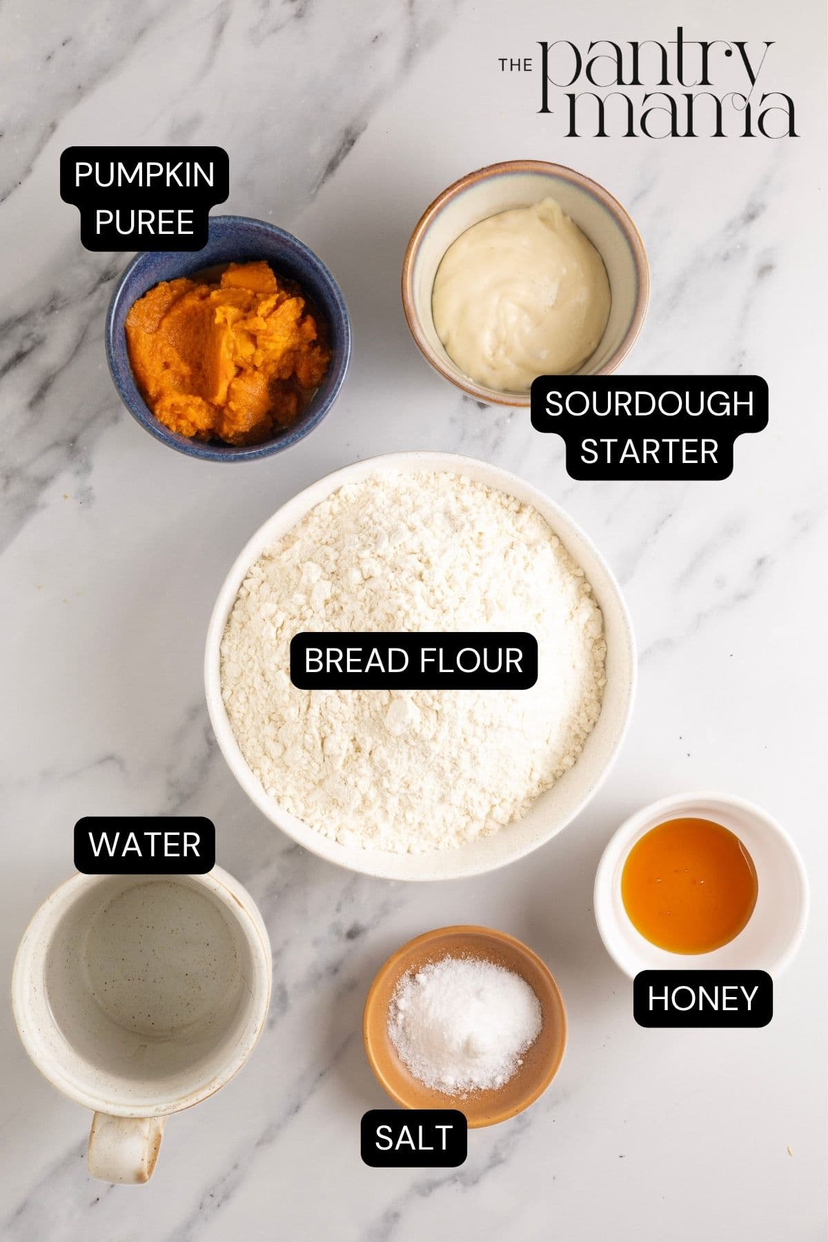 Flat lay of ingredients necessary to make Artisan sourdough pumpkin loaf.