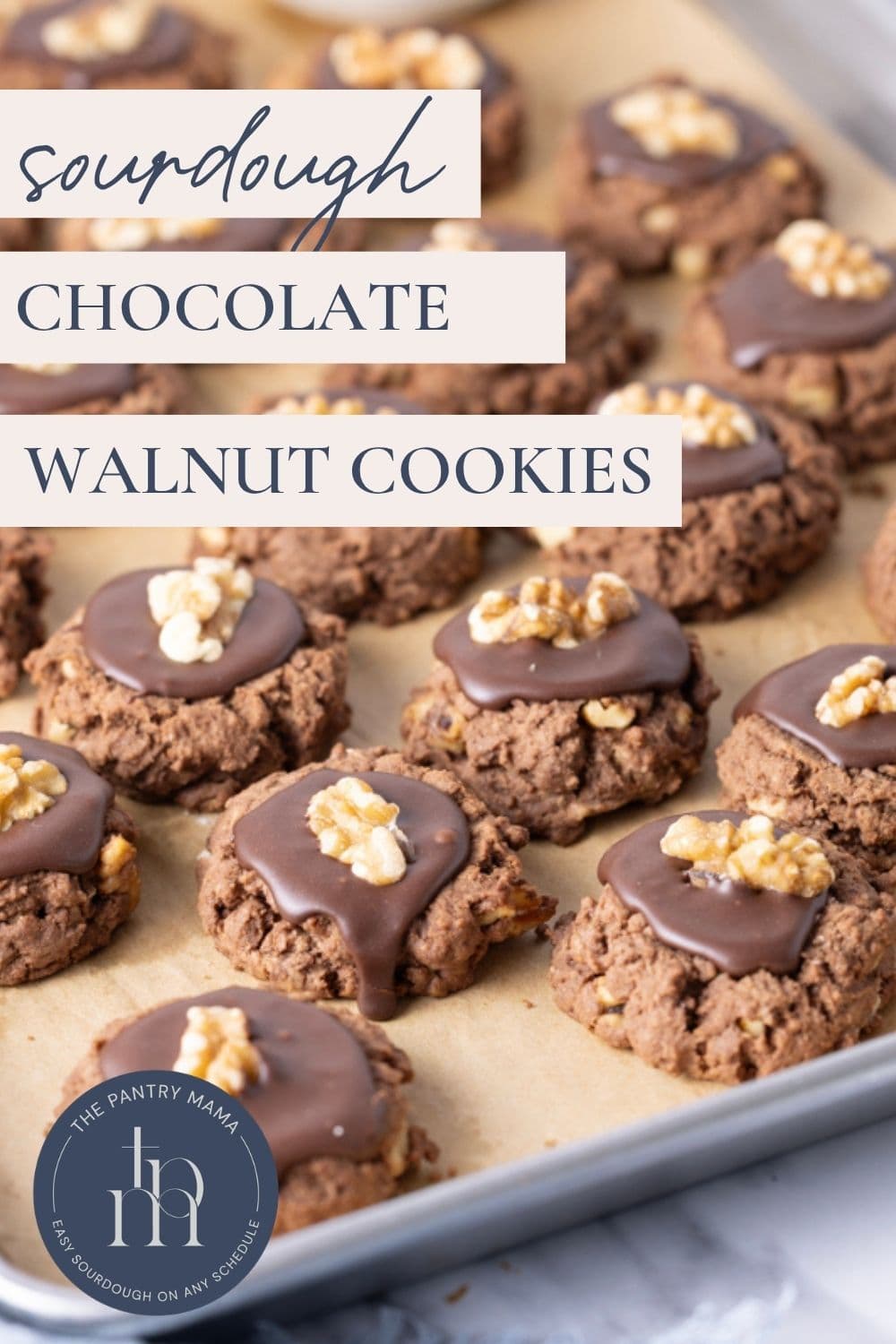 Pinterest graphic for sourdough chocolate walnut cookies.