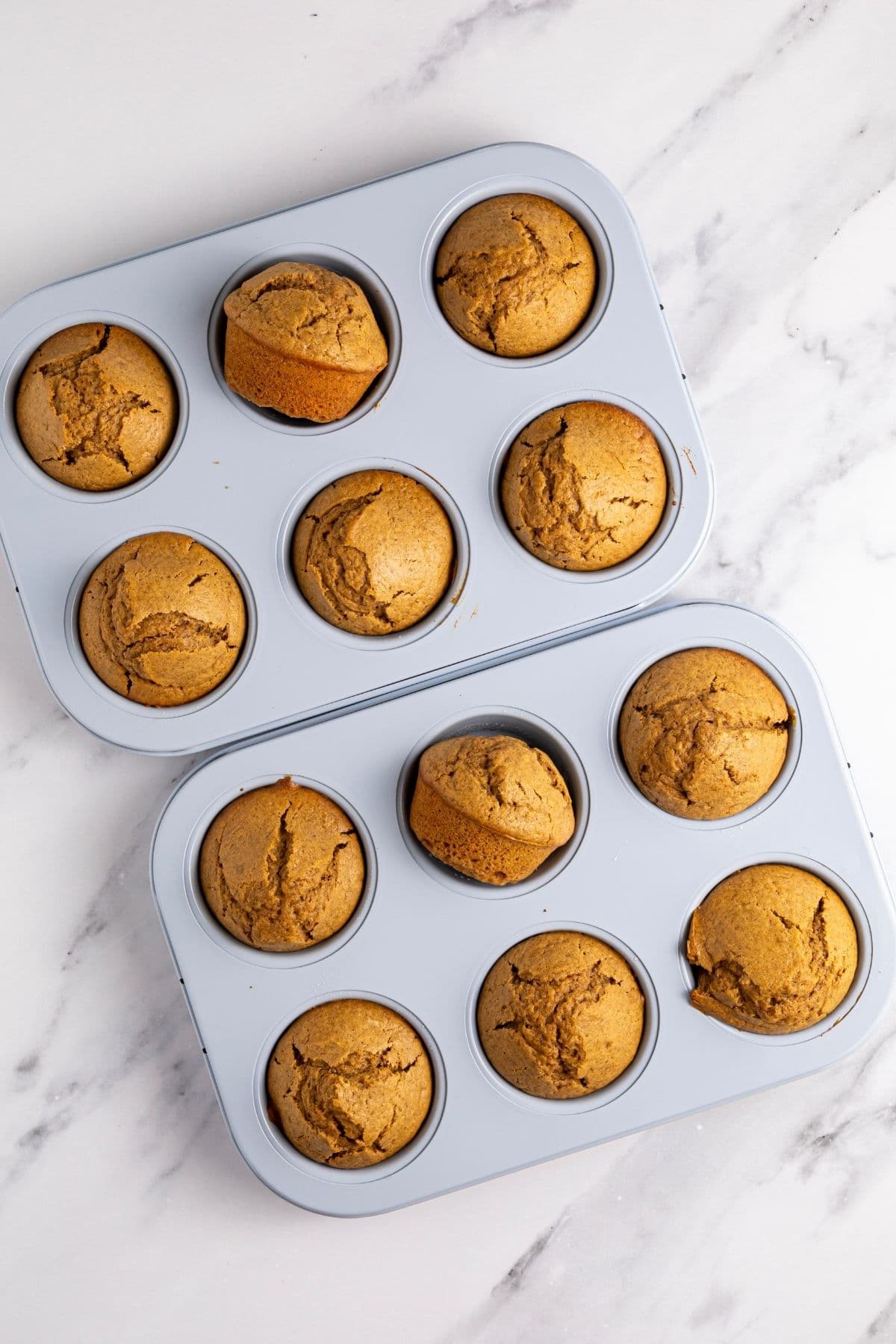 Two pale blue 6 hole muffin pans with sourdough gingerbread muffins that have just been taken out of the oven.