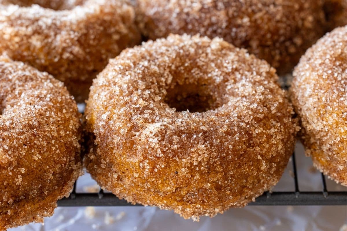 A horizontal image of sourdough discard pumpkin donuts coated in cinnamon sugar.