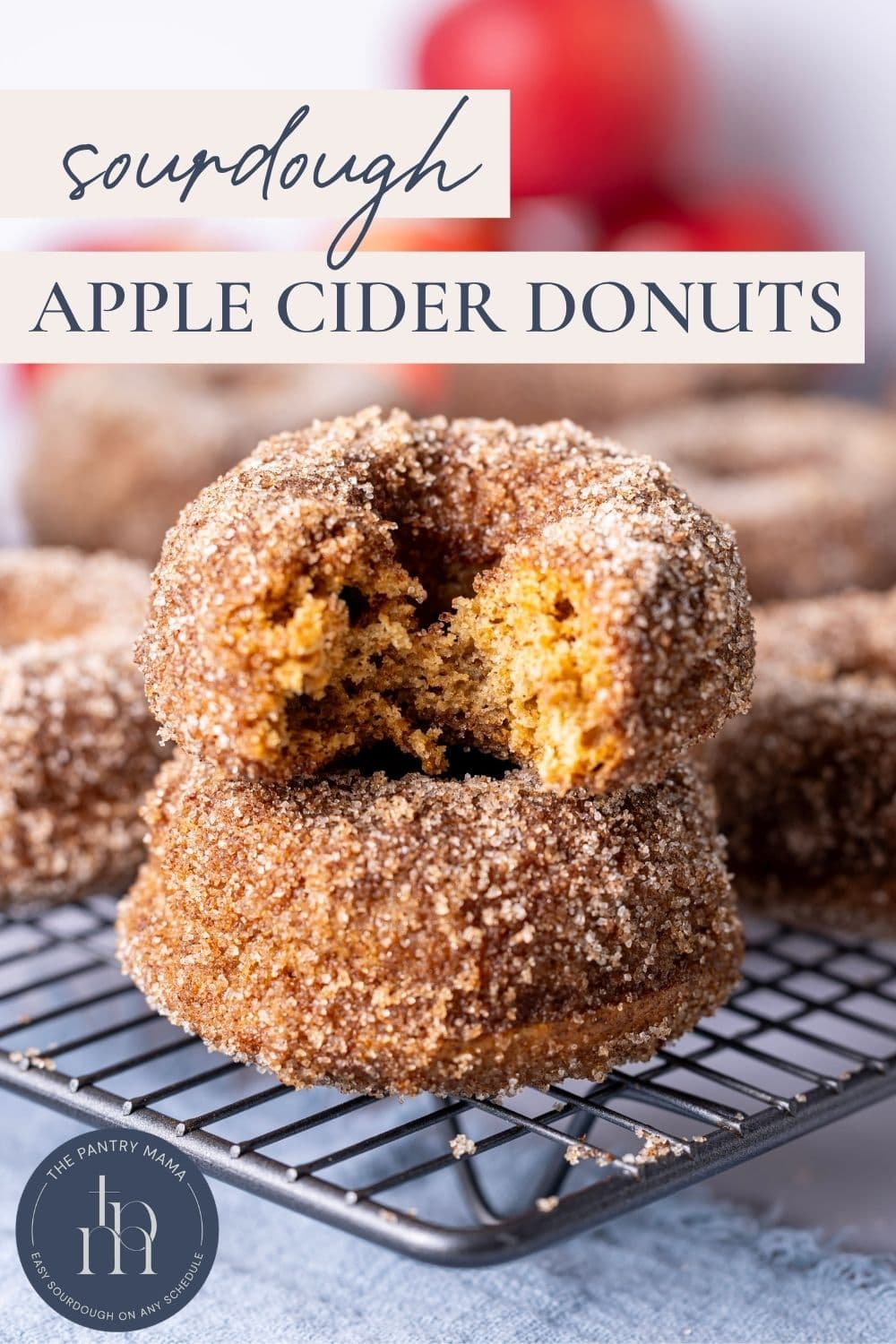 Sourdough apple cider donuts - Pinterest Image