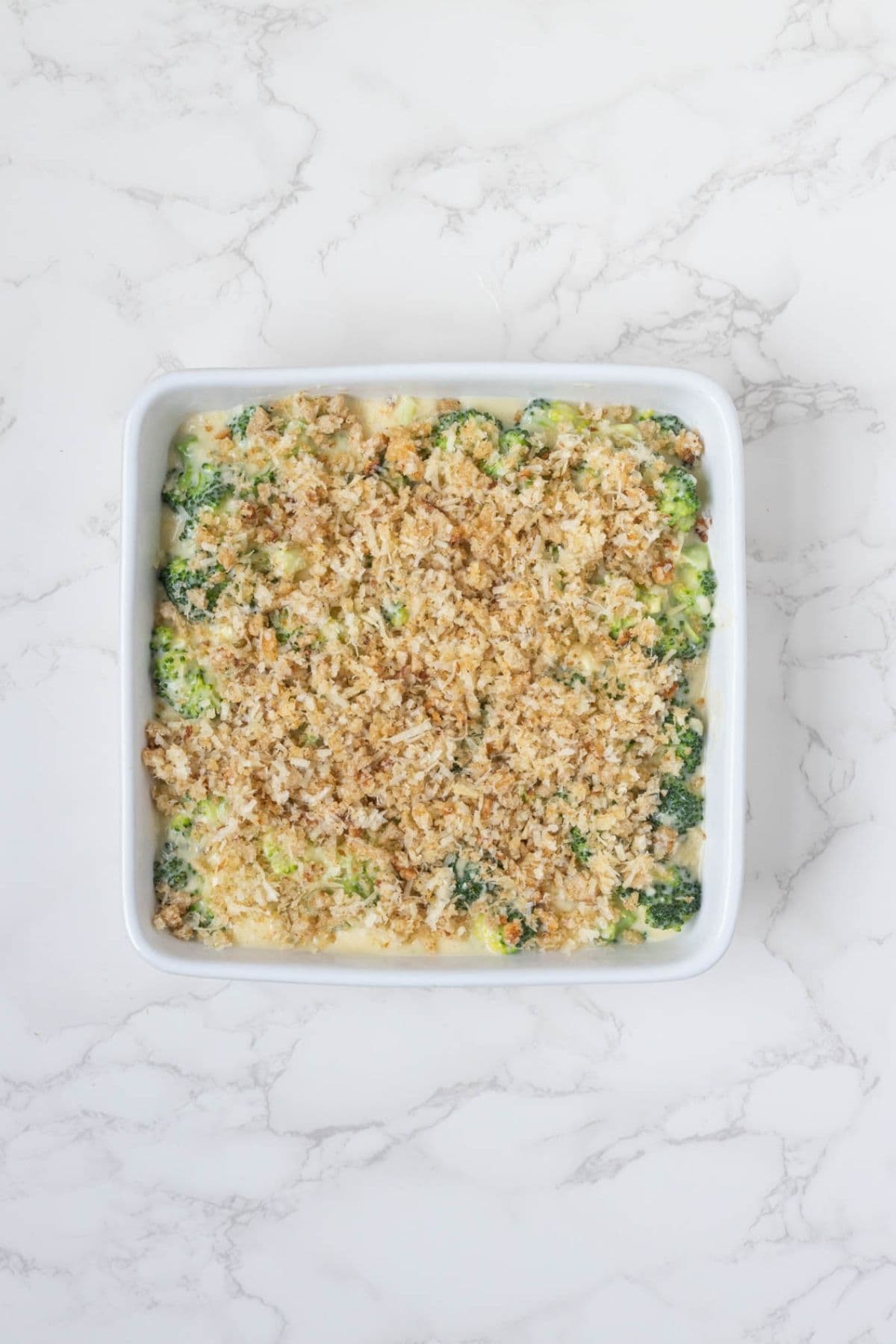 Unbaked sourdough broccoli casserole topped with an even layer of sourdough breadcrumbs and Parmesan.