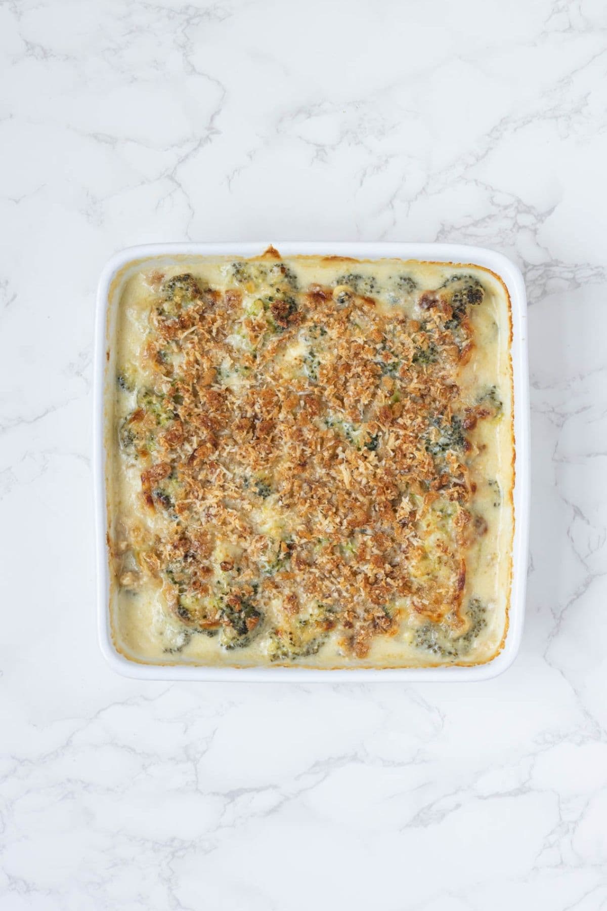 Freshly baked sourdough broccoli casserole with creamy cheese sauce and a crisp, golden-brown breadcrumb topping.