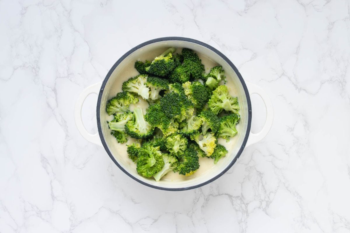 Blanched broccoli in a pot to prepare for making a sourdough broccoli casserole.