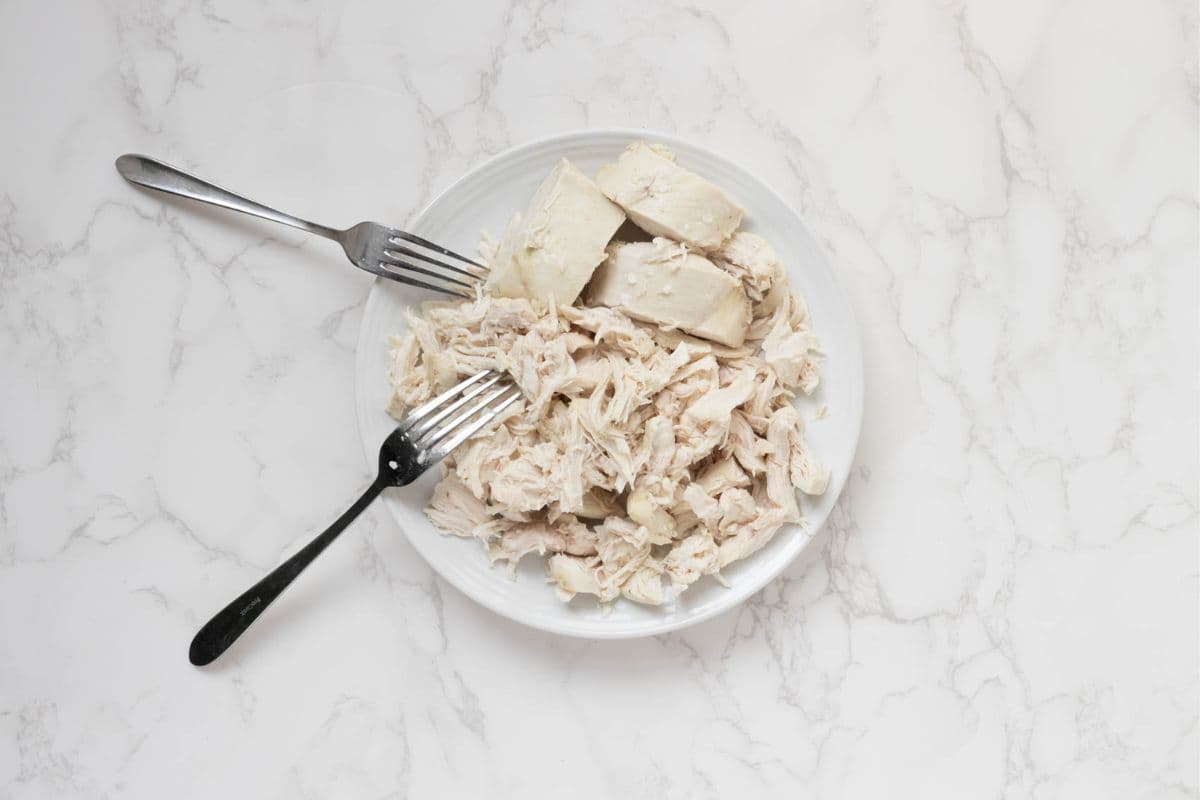 Poached chicken that has been shredded on a small white plate using two forks.