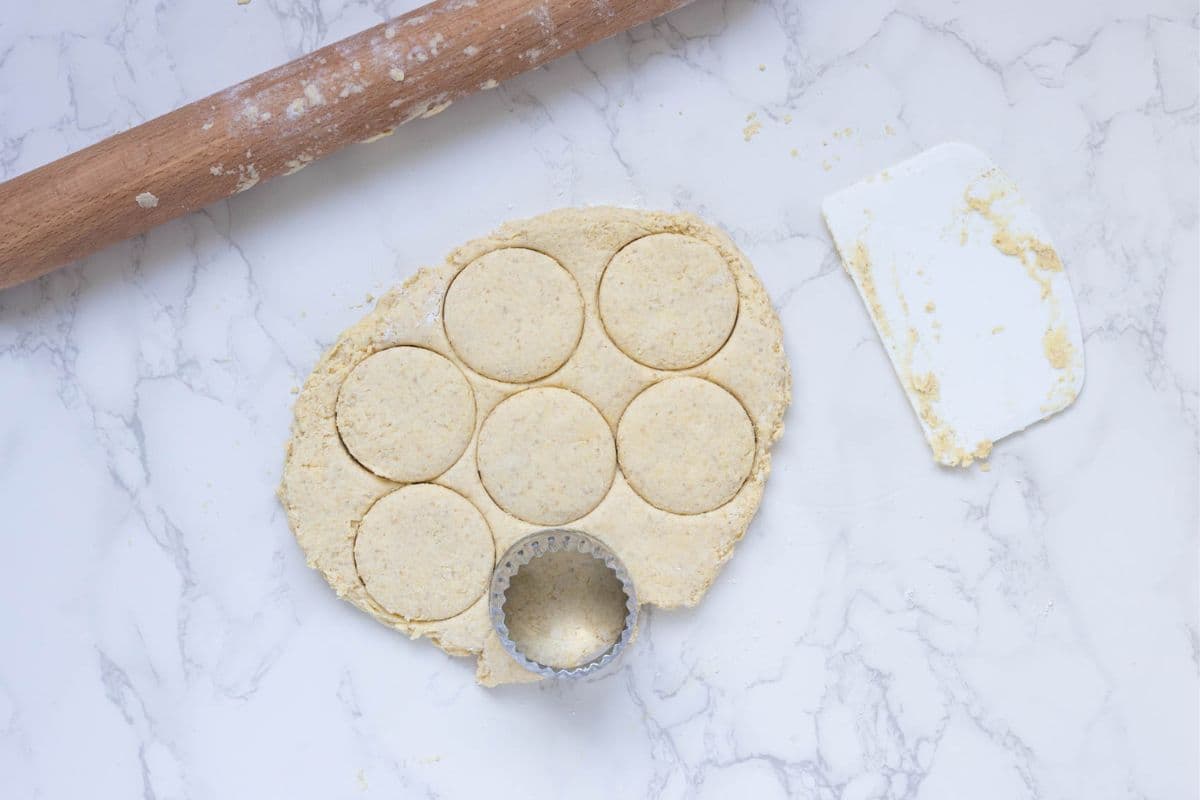 A rough rectangle of dough that has had 7 round circles cut out of it to form the sourdough cornbread biscuits.