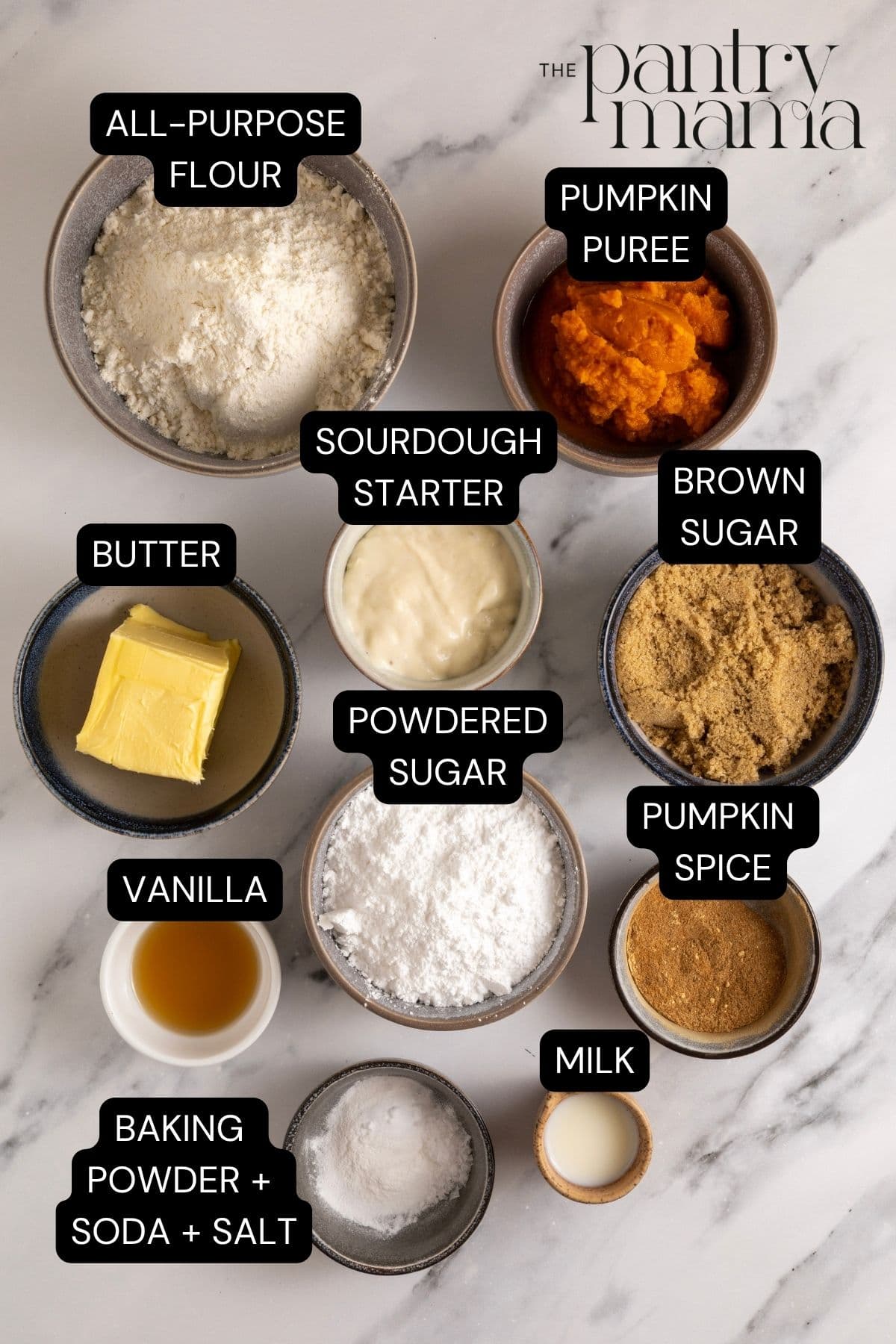 Flat lay of ingredients necessary to make sourdough pumpkin scones.